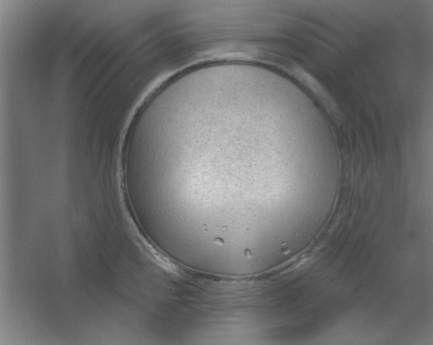 X0000054401240200508121650