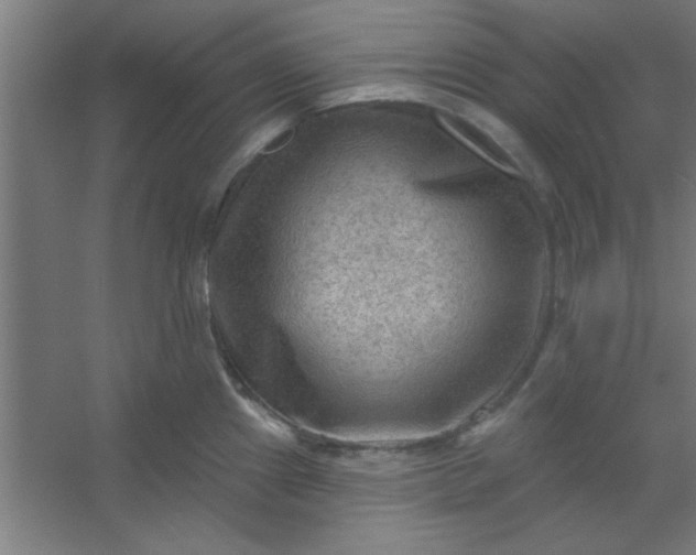 X0000054401241200508121650