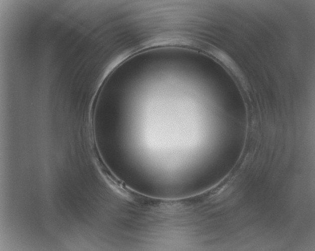 X0000054401242200508121650