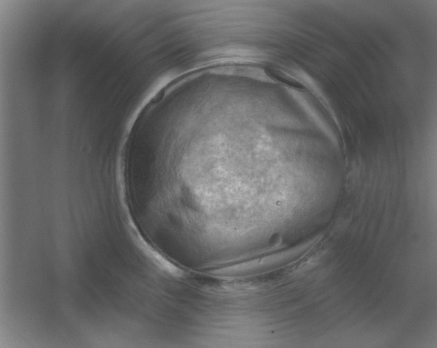 X0000054401243200508121650