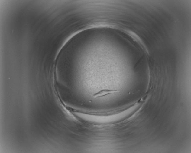 X0000054401244200508121650