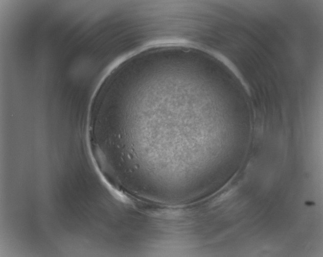 X0000054401245200508121651