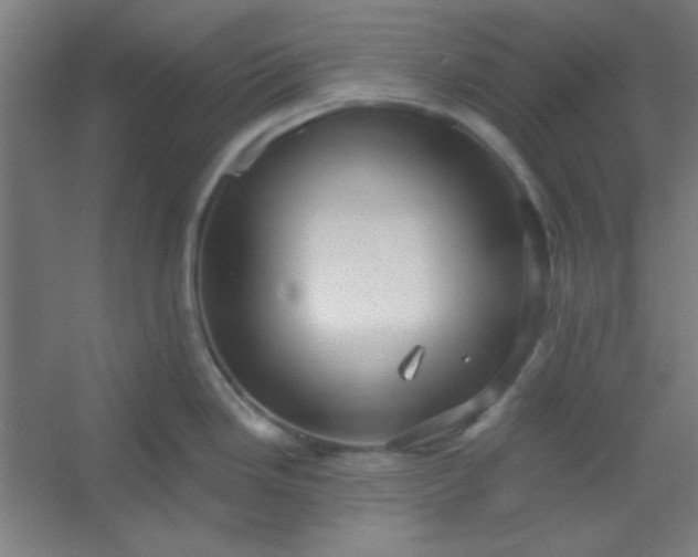 X0000054401246200508121651