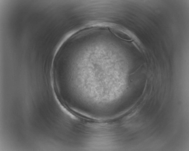 X0000054401247200508121651