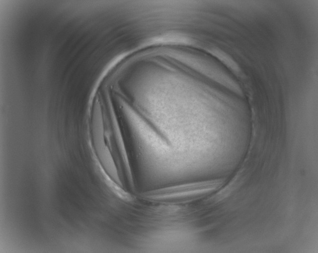 X0000054401248200508121651