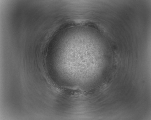 X0000054401249200508121650