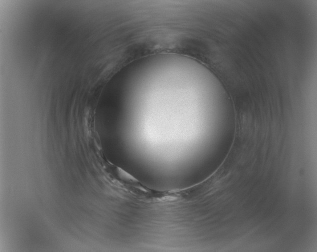 X0000054401250200508121650