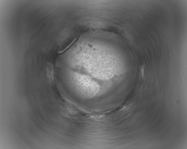 X0000054401251200508121650