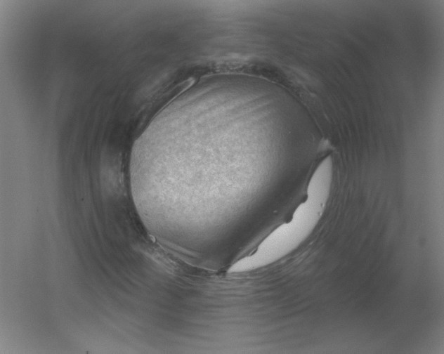 X0000054401252200508121650