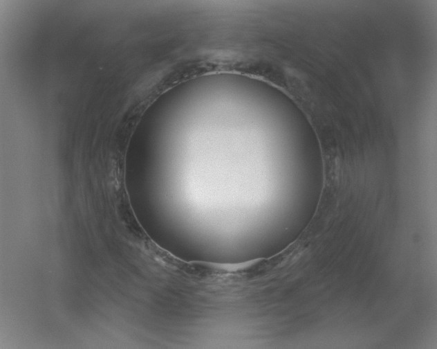 X0000054401253200508121650