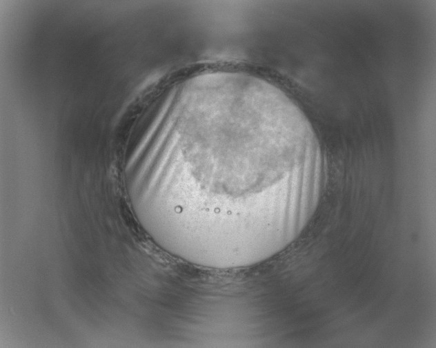 X0000054401254200508121650