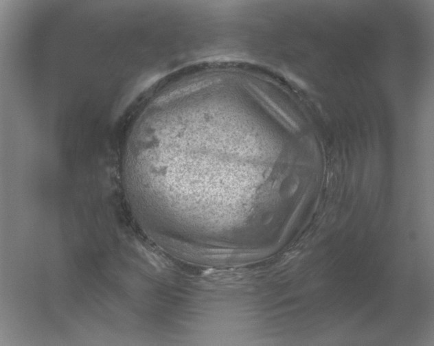 X0000054401255200508121650