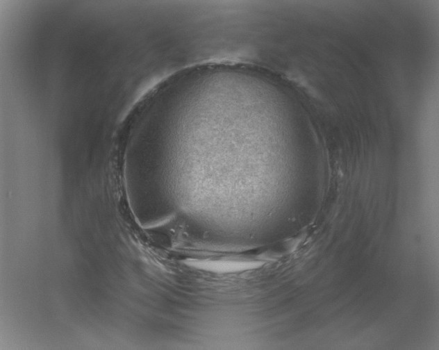 X0000054401256200508121650