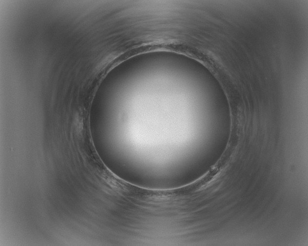 X0000054401257200508121650