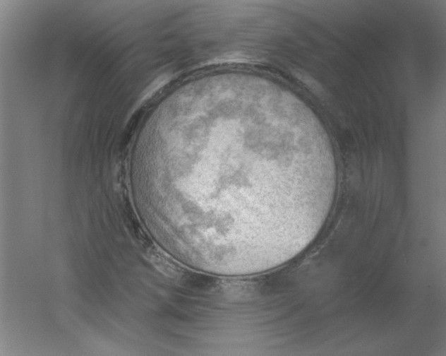 X0000054401258200508121650