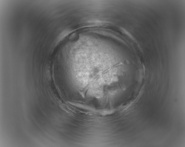 X0000054401259200508121650