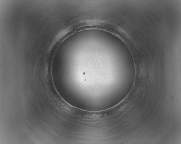 X0000054401261200508121650