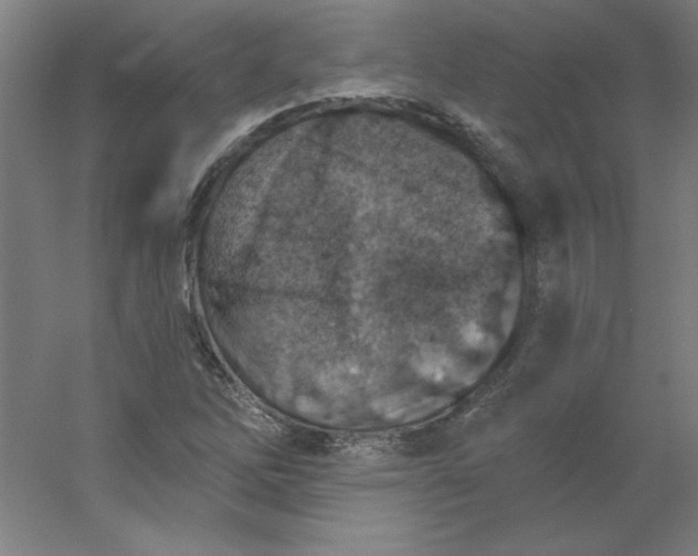 X0000054401262200508121650