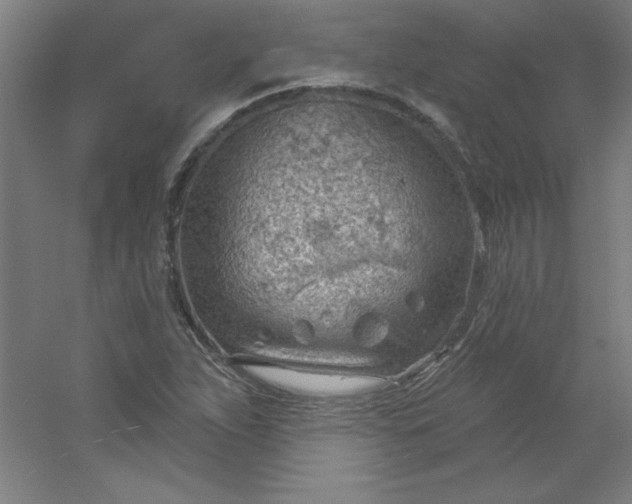 X0000054401263200508121649