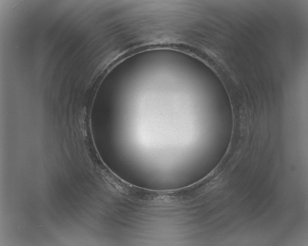 X0000054401265200508121649