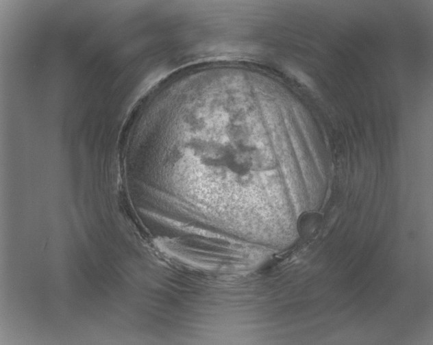 X0000054401267200508121649