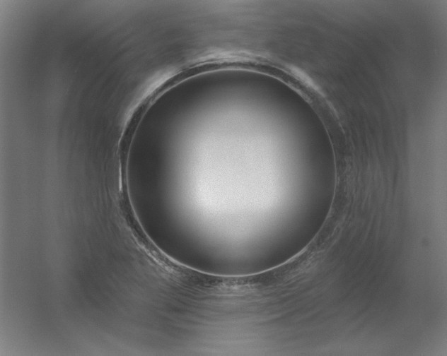 X0000054401269200508121649