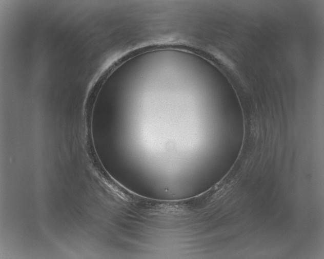 X0000054401270200508121649