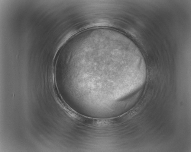 X0000054401274200508121649