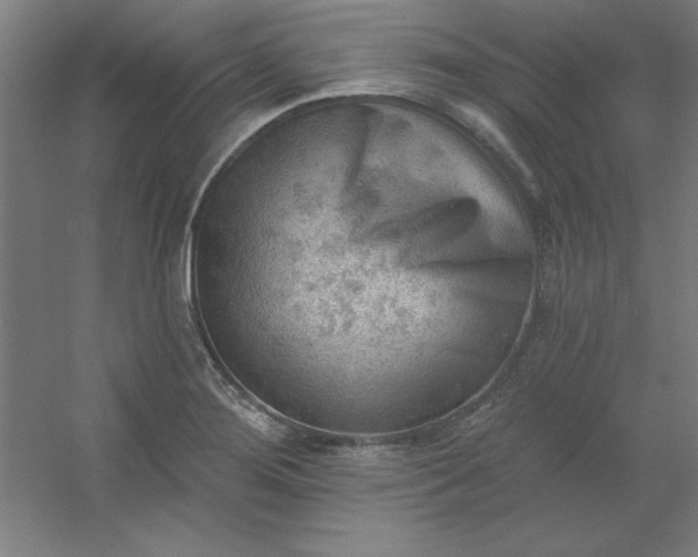 X0000054401276200508121649