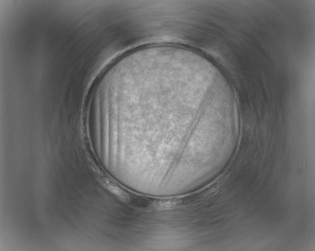 X0000054401278200508121649