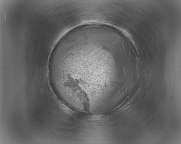 X0000054401279200508121649