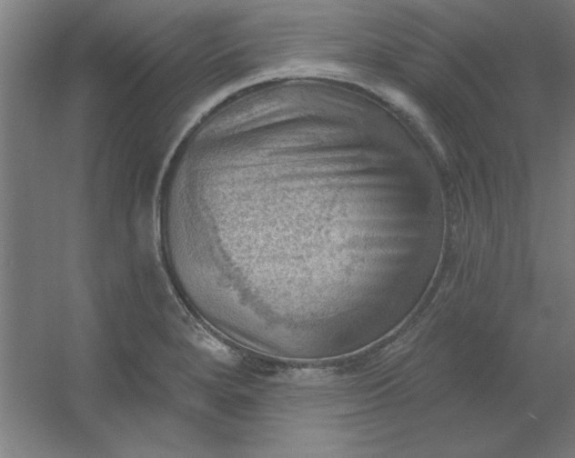 X0000054401280200508121649