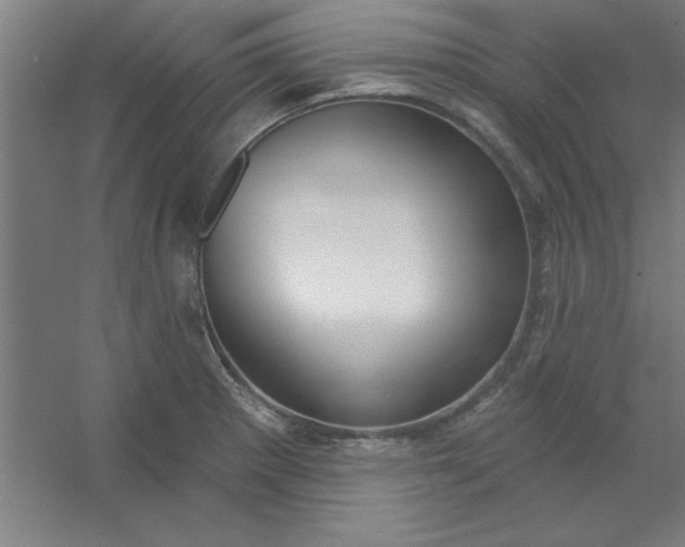 X0000054401281200508121649