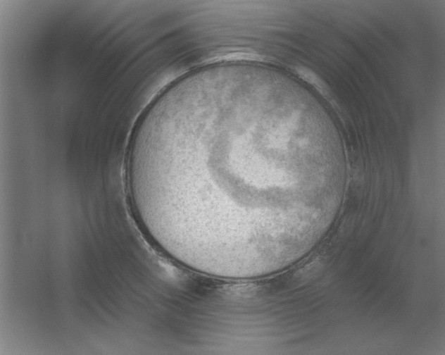 X0000054401282200508121649