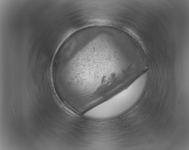 X0000054401283200508121649