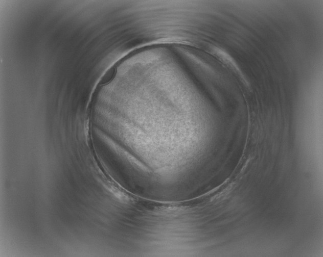 X0000054401284200508121649