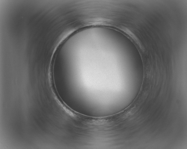 X0000054401285200508121649