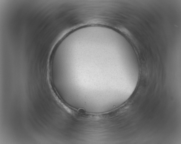 X0000054401286200508121649