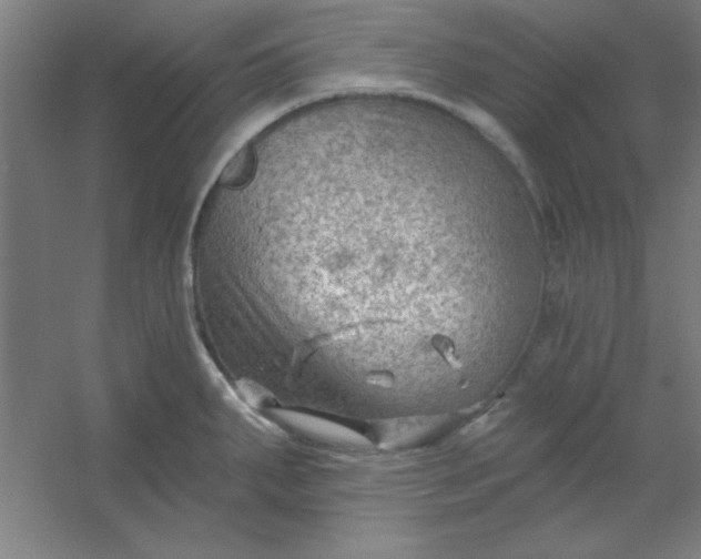 X0000054401287200508121649