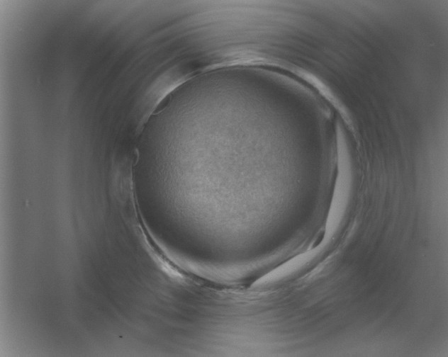 X0000054401289200508121649