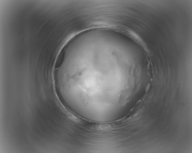 X0000054401291200508121649