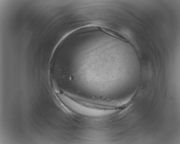 X0000054401292200508121649