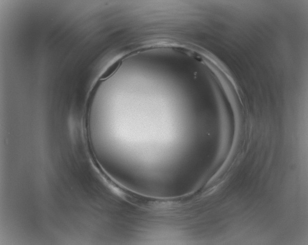 X0000054401293200508121649