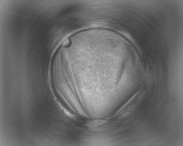 X0000054401294200508121649