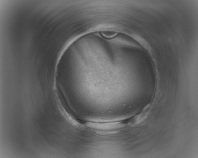 X0000054401296200508121649