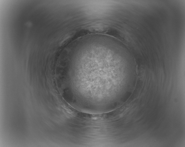 X0000054401297200508121648