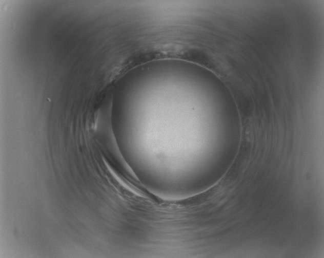 X0000054401298200508121648