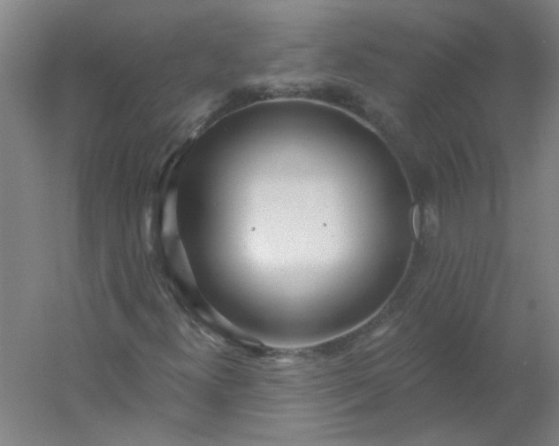 X0000054401300200508121648