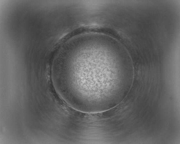 X0000054401301200508121648