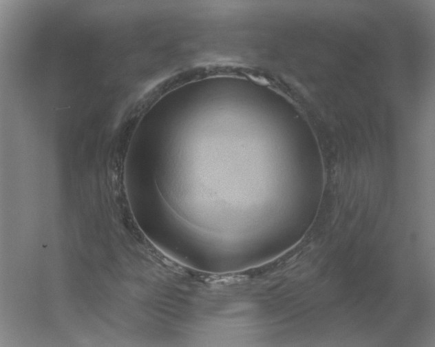 X0000054401303200508121648